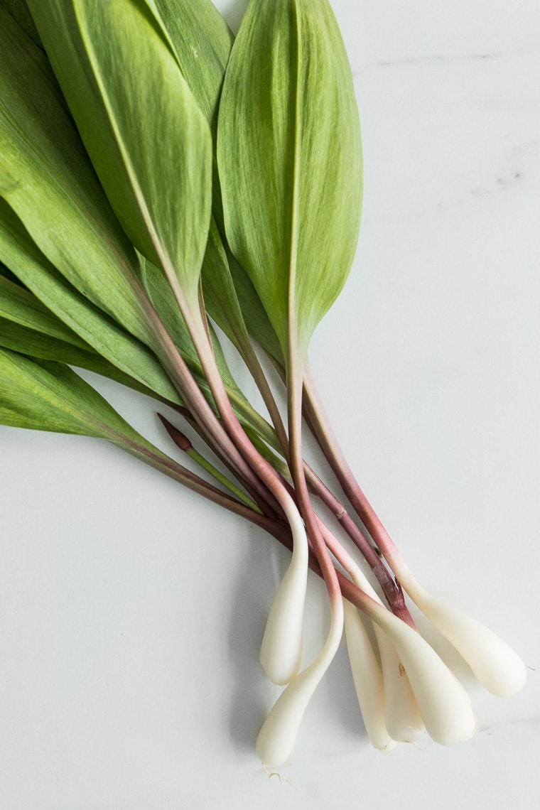 Spring Ramps on a Marble Counter