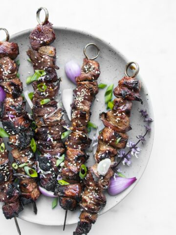 Close up of Sweet and Sour BBQ Beef Kebabs garnished with Green Onions and Sesame Seeds