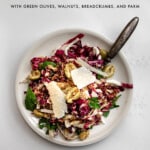 Radicchio Salad with green olives, Parmesan shavings, breadcrumbs and parsley on a plate with an antique fork.