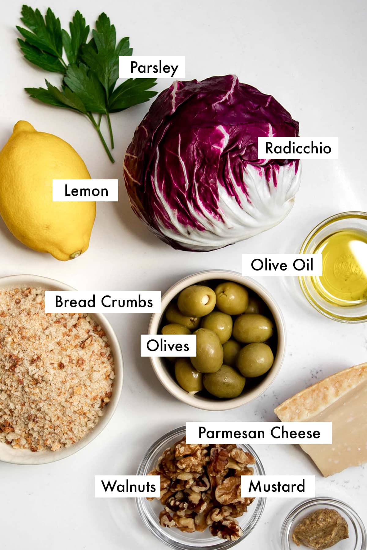 ingredients to make radicchio salad.